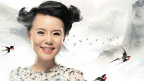 龚琳娜老师好听到爆炸的翻唱歌曲1